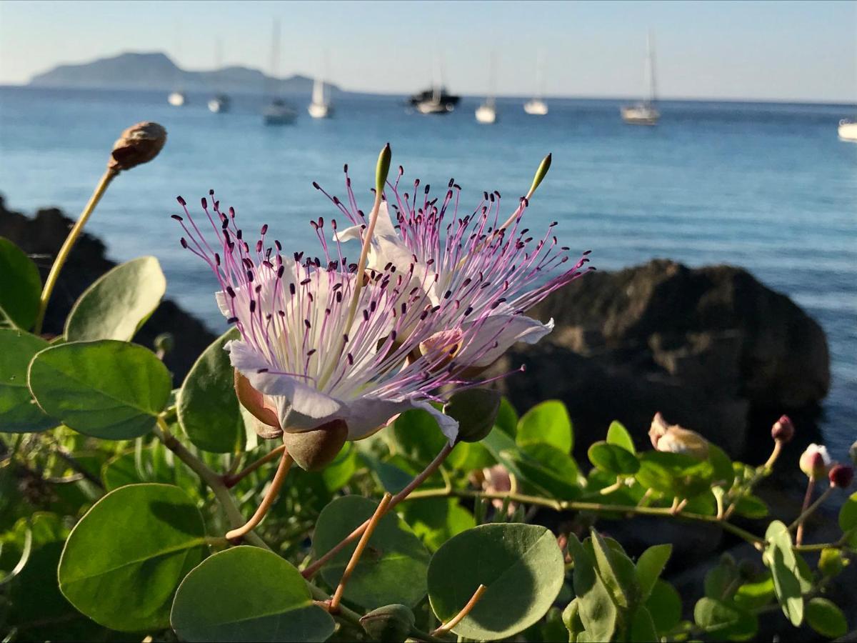 Zaffiro Lavico Rooms Etna Nature Sea アチレアーレ エクステリア 写真